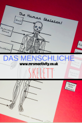 Mrs Mactivity: Das menschliche Skelett