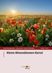 Carina Busch: Wiesenblumen-Kartei